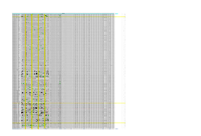 advanced microsoft excel work and HR data management
